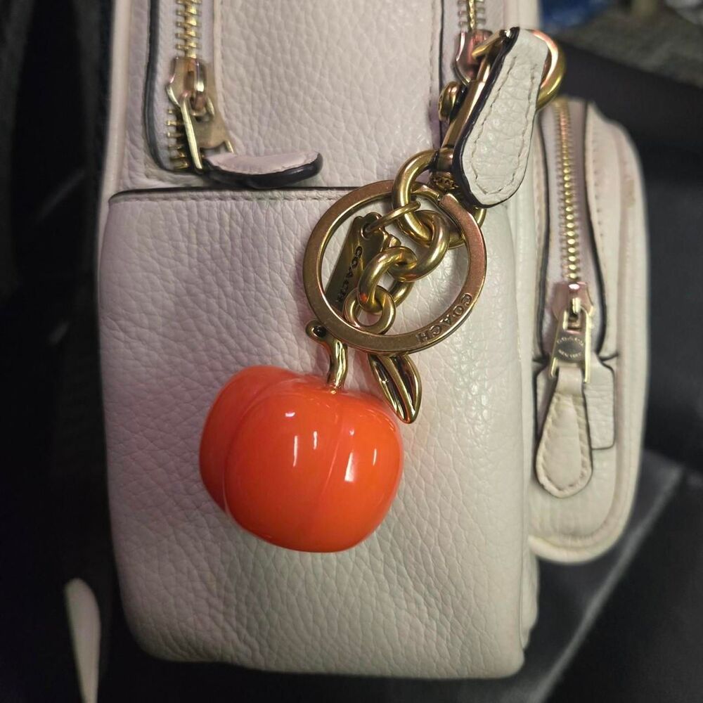 Coach Women's multi Accessory - Picture 5 of 5